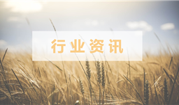 【行業(yè)資訊】如何為14億人儲備糧食？中國的儲備糧夠吃多久？