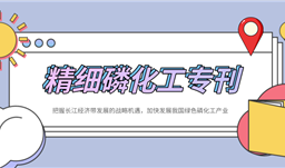 『精細(xì)磷化工專刊』把握長(zhǎng)江經(jīng)濟(jì)帶發(fā)展戰(zhàn)略機(jī)遇，加快發(fā)展我國(guó)綠色磷化工產(chǎn)業(yè)