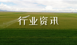 【行業(yè)資訊】復(fù)合肥高位堅(jiān)挺，尿素局部企穩(wěn)，二銨后市如何？